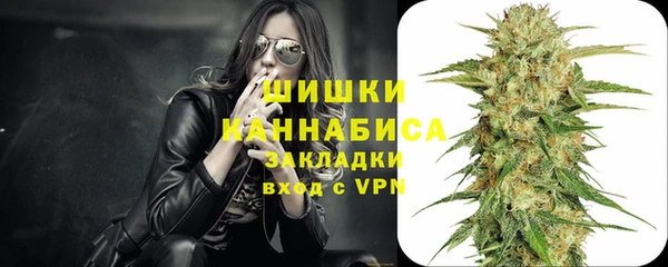 молекула духа Кинешма