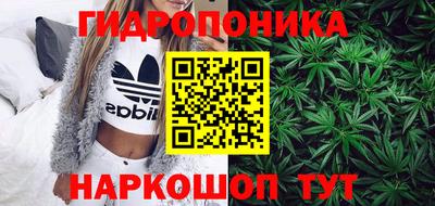 молекула духа Коммунар